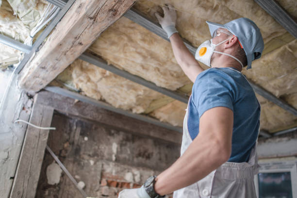 Types of Insulation We Offer in Kerman, CA
