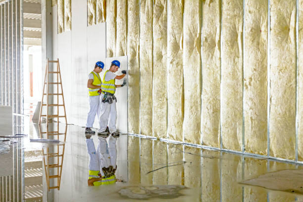 Best Spray Foam Insulation in Kerman, CA